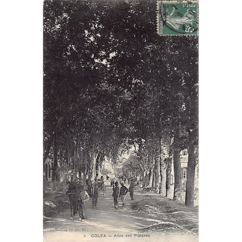 Rare collectable postcards of ALGERIA. Vintage Postcards of ALGERIA