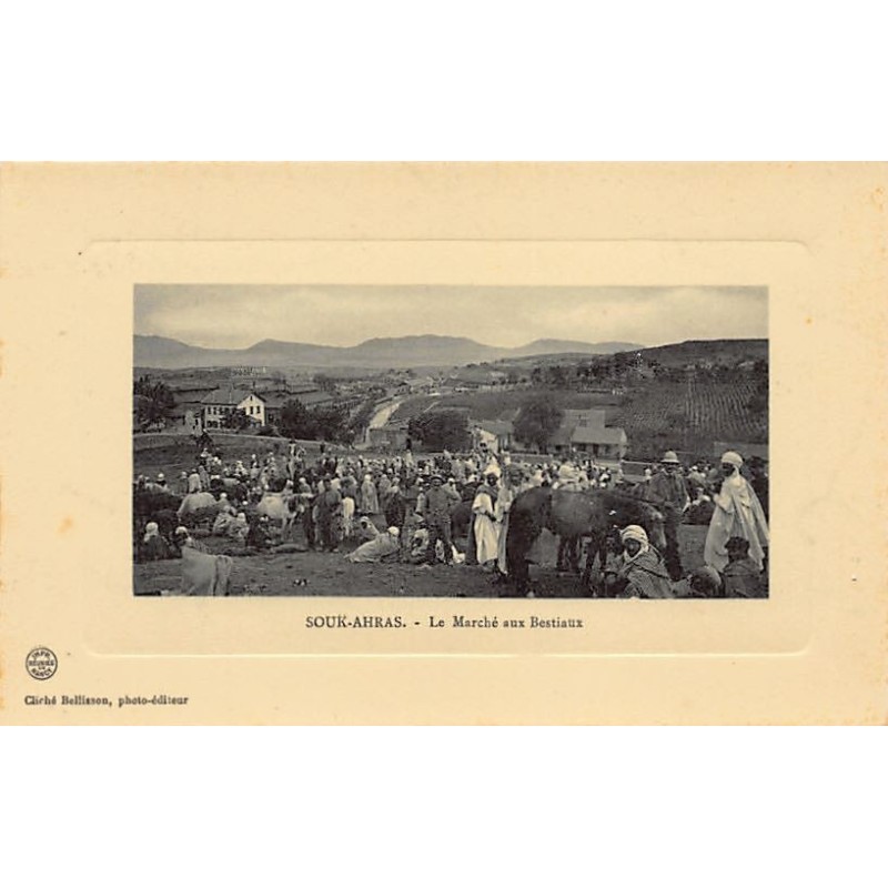 Rare collectable postcards of ALGERIA. Vintage Postcards of ALGERIA