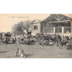 Rare collectable postcards of ALGERIA. Vintage Postcards of ALGERIA