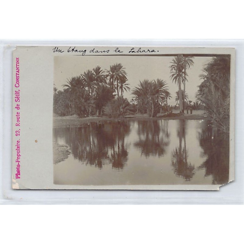 Rare collectable postcards of ALGERIA. Vintage Postcards of ALGERIA