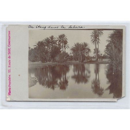 Rare collectable postcards of ALGERIA. Vintage Postcards of ALGERIA