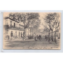 Rare collectable postcards of ALGERIA. Vintage Postcards of ALGERIA