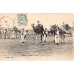 Rare collectable postcards of ALGERIA. Vintage Postcards of ALGERIA