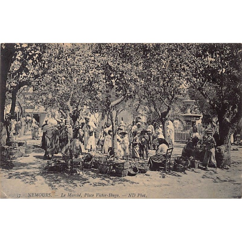 Rare collectable postcards of ALGERIA. Vintage Postcards of ALGERIA