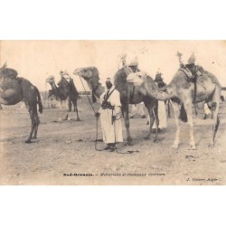 Rare collectable postcards of ALGERIA. Vintage Postcards of ALGERIA