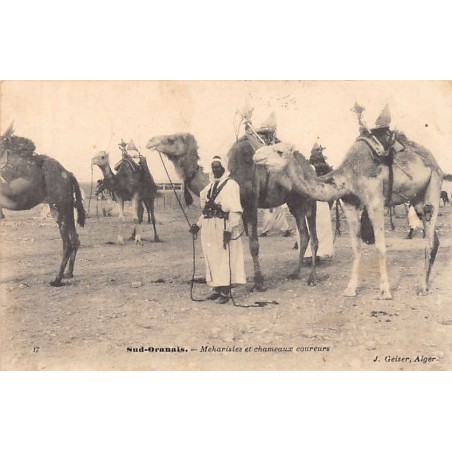 Rare collectable postcards of ALGERIA. Vintage Postcards of ALGERIA