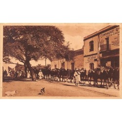 Rare collectable postcards of ALGERIA. Vintage Postcards of ALGERIA