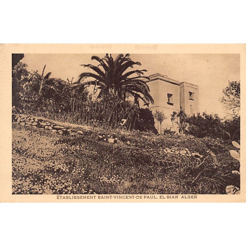 Rare collectable postcards of ALGERIA. Vintage Postcards of ALGERIA