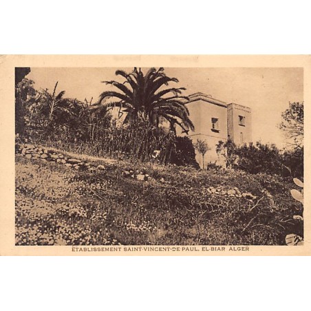 Rare collectable postcards of ALGERIA. Vintage Postcards of ALGERIA