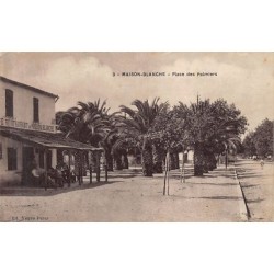 Rare collectable postcards of ALGERIA. Vintage Postcards of ALGERIA