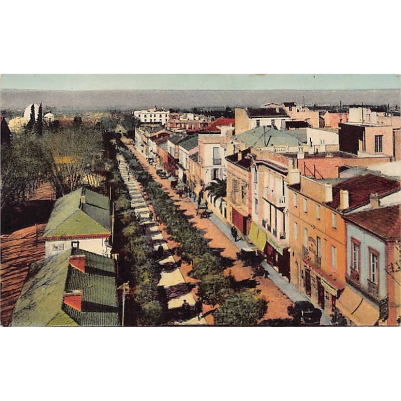 Rare collectable postcards of ALGERIA. Vintage Postcards of ALGERIA