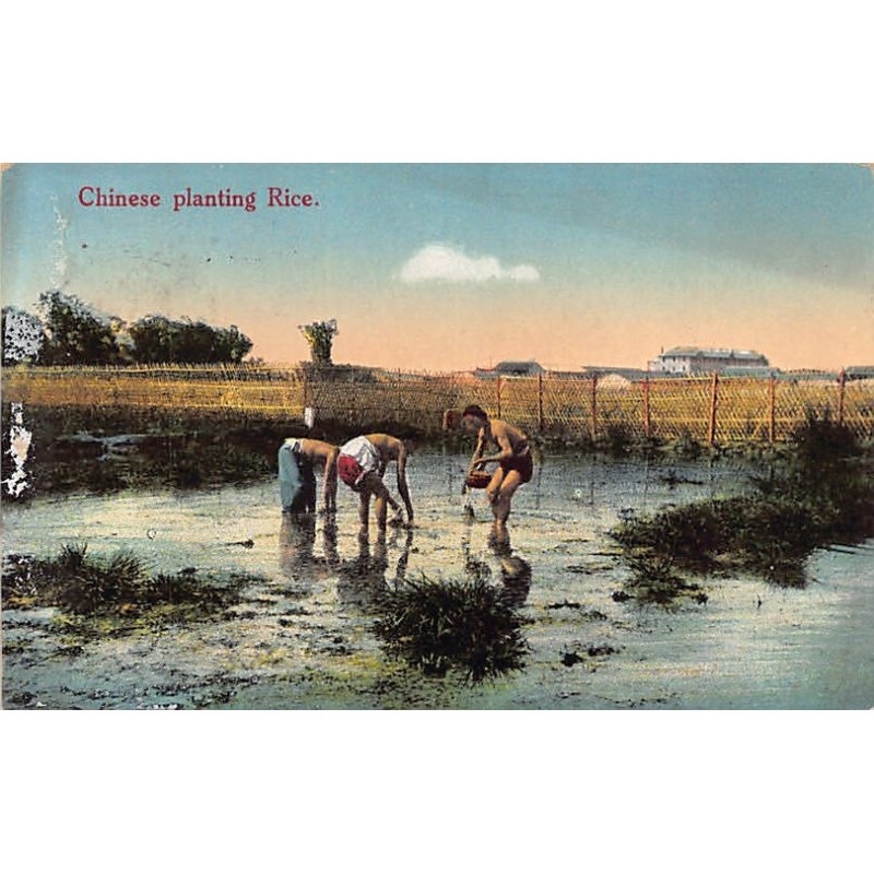 Rare collectable postcards of CHINA. Vintage Postcards of CHINA