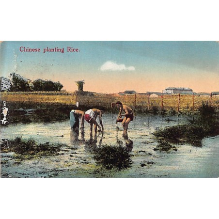 Rare collectable postcards of CHINA. Vintage Postcards of CHINA