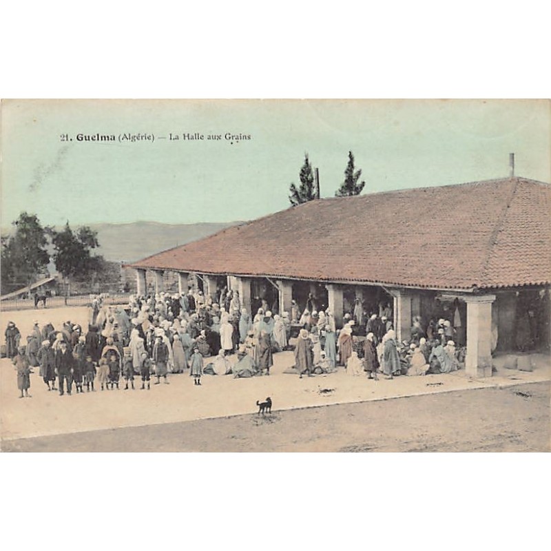 Rare collectable postcards of ALGERIA. Vintage Postcards of ALGERIA