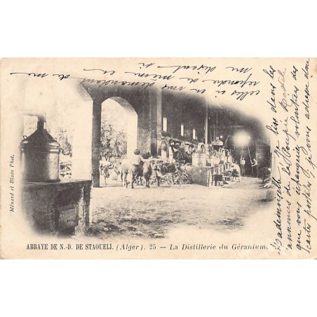 Rare collectable postcards of ALGERIA. Vintage Postcards of ALGERIA