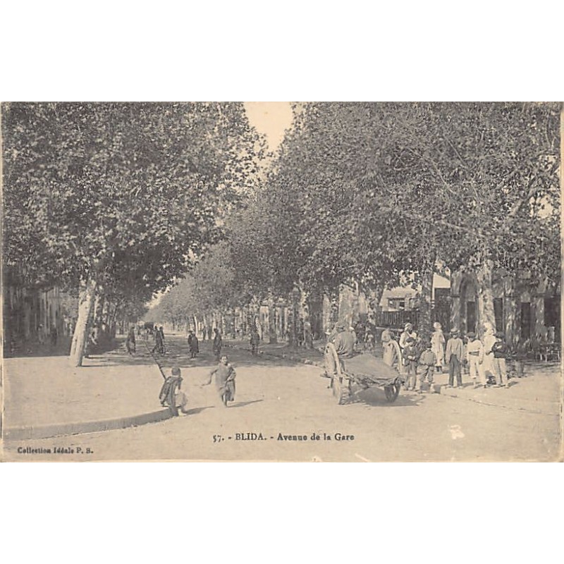 Rare collectable postcards of ALGERIA. Vintage Postcards of ALGERIA