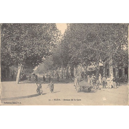 Rare collectable postcards of ALGERIA. Vintage Postcards of ALGERIA