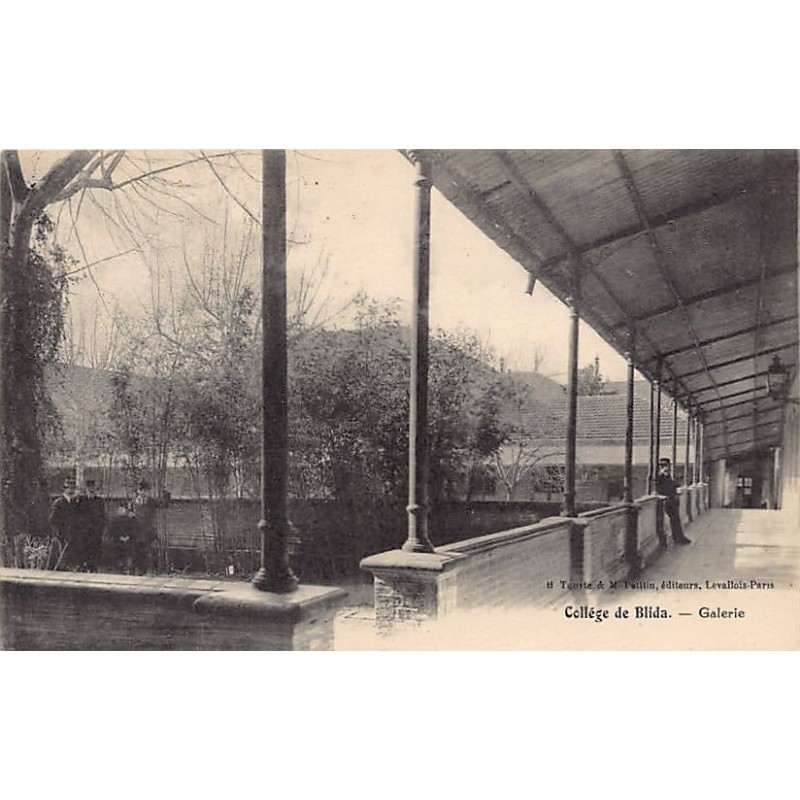 Rare collectable postcards of ALGERIA. Vintage Postcards of ALGERIA