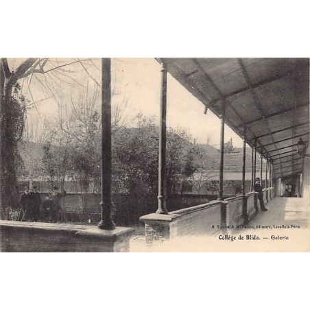 Rare collectable postcards of ALGERIA. Vintage Postcards of ALGERIA