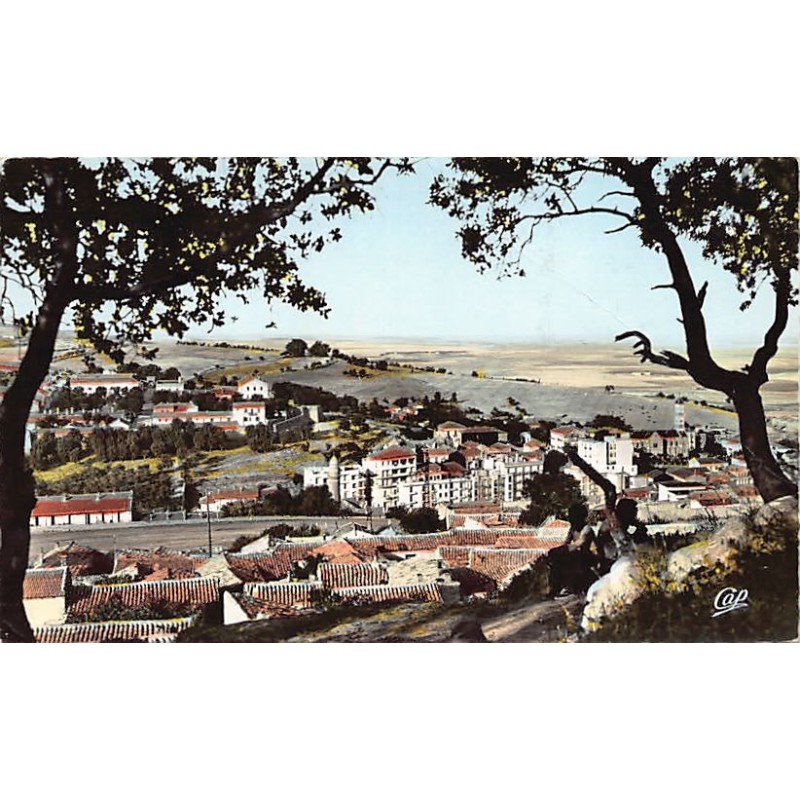 Rare collectable postcards of ALGERIA. Vintage Postcards of ALGERIA
