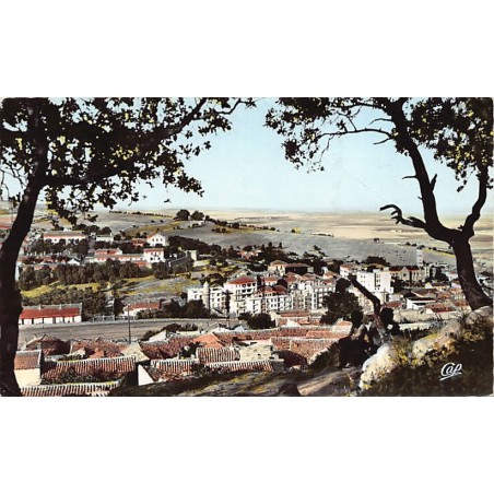 Rare collectable postcards of ALGERIA. Vintage Postcards of ALGERIA