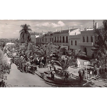 Rare collectable postcards of ALGERIA. Vintage Postcards of ALGERIA