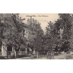 Rare collectable postcards of ALGERIA. Vintage Postcards of ALGERIA