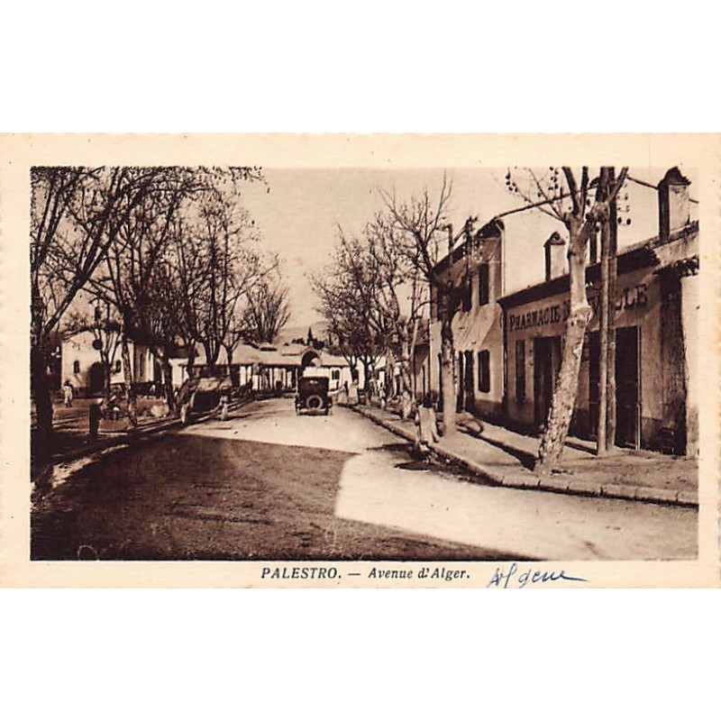 Rare collectable postcards of ALGERIA. Vintage Postcards of ALGERIA