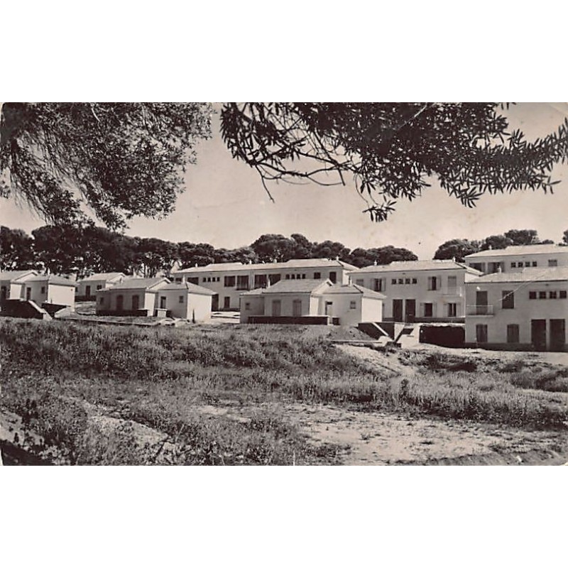 Rare collectable postcards of ALGERIA. Vintage Postcards of ALGERIA
