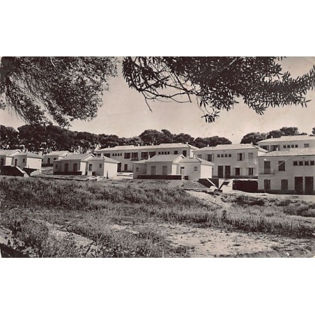 Rare collectable postcards of ALGERIA. Vintage Postcards of ALGERIA