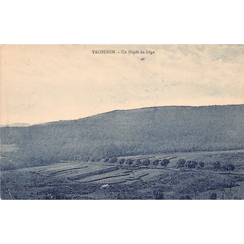 Rare collectable postcards of ALGERIA. Vintage Postcards of ALGERIA
