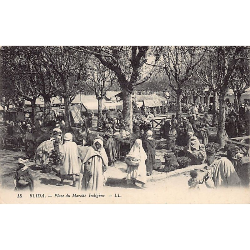 Rare collectable postcards of ALGERIA. Vintage Postcards of ALGERIA