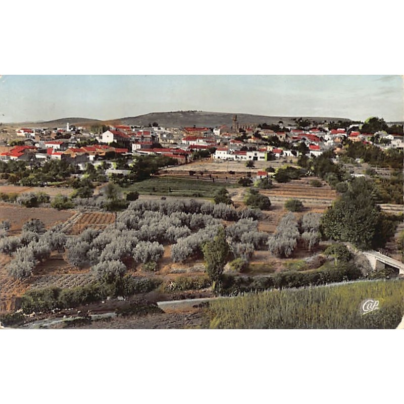 Rare collectable postcards of ALGERIA. Vintage Postcards of ALGERIA