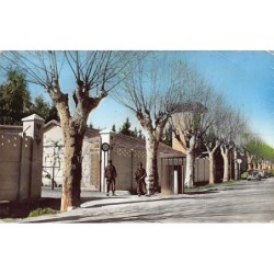 Rare collectable postcards of ALGERIA. Vintage Postcards of ALGERIA