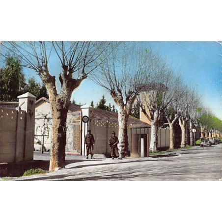 Rare collectable postcards of ALGERIA. Vintage Postcards of ALGERIA