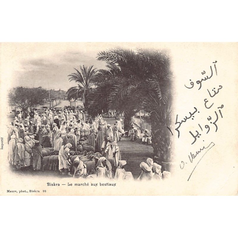 Rare collectable postcards of ALGERIA. Vintage Postcards of ALGERIA