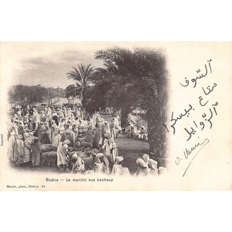 Rare collectable postcards of ALGERIA. Vintage Postcards of ALGERIA