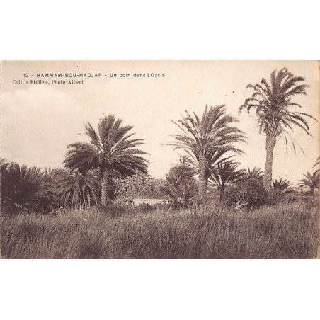 Rare collectable postcards of ALGERIA. Vintage Postcards of ALGERIA