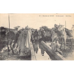 Rare collectable postcards of ALGERIA. Vintage Postcards of ALGERIA