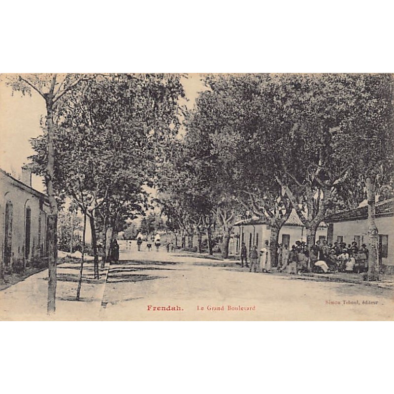 Rare collectable postcards of ALGERIA. Vintage Postcards of ALGERIA