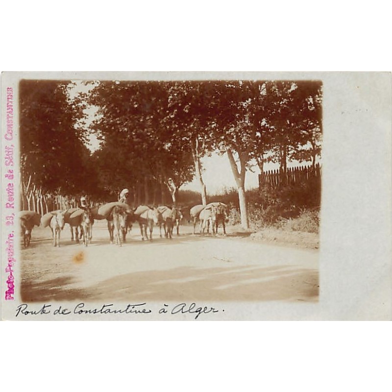 Rare collectable postcards of ALGERIA. Vintage Postcards of ALGERIA