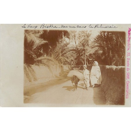 Rare collectable postcards of ALGERIA. Vintage Postcards of ALGERIA