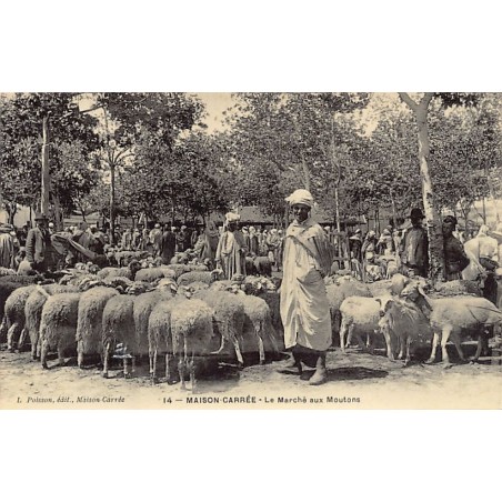 Rare collectable postcards of ALGERIA. Vintage Postcards of ALGERIA