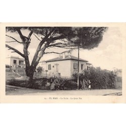 Rare collectable postcards of ALGERIA. Vintage Postcards of ALGERIA