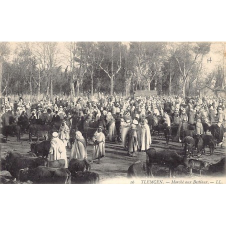 Rare collectable postcards of ALGERIA. Vintage Postcards of ALGERIA