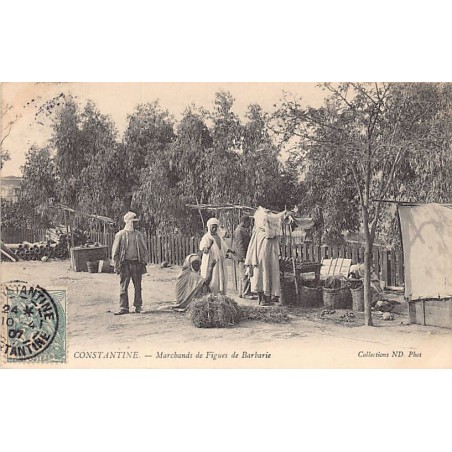 Rare collectable postcards of ALGERIA. Vintage Postcards of ALGERIA