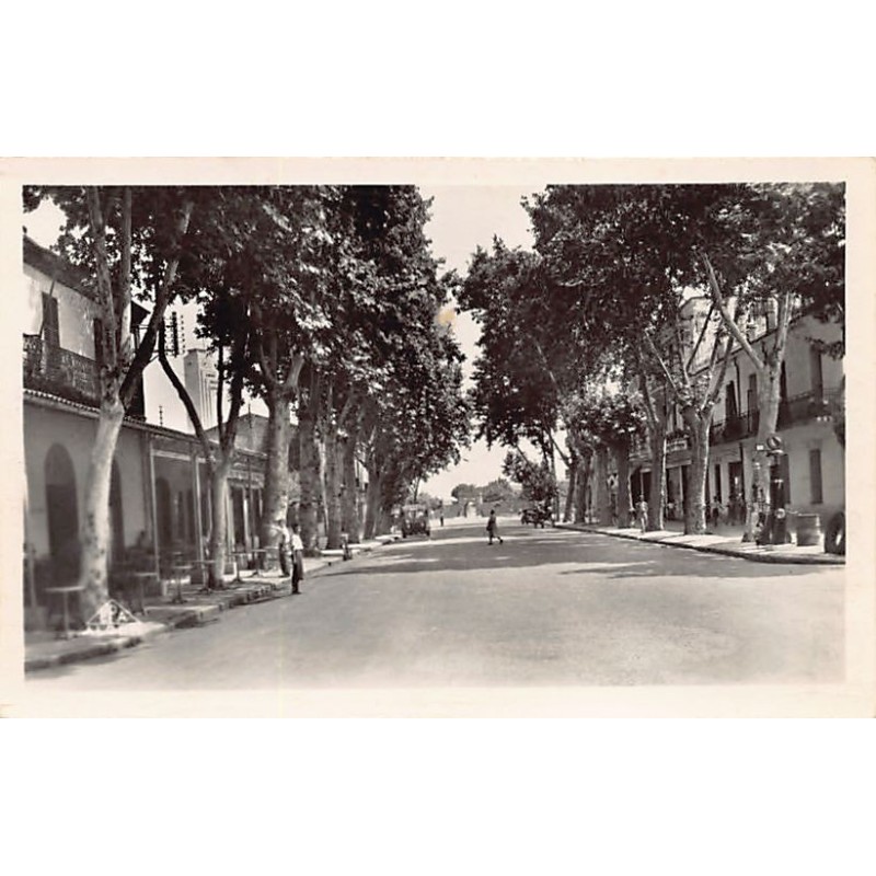 Rare collectable postcards of ALGERIA. Vintage Postcards of ALGERIA