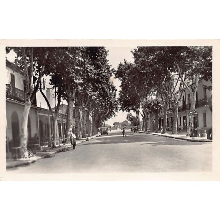 Rare collectable postcards of ALGERIA. Vintage Postcards of ALGERIA