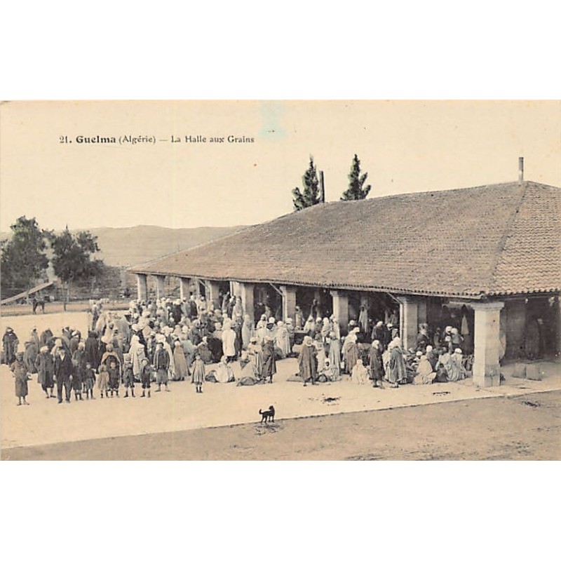 Rare collectable postcards of ALGERIA. Vintage Postcards of ALGERIA