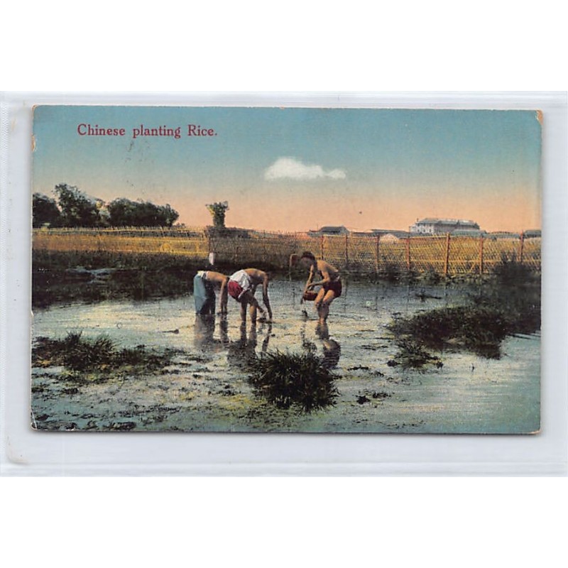 Rare collectable postcards of CHINA. Vintage Postcards of CHINA